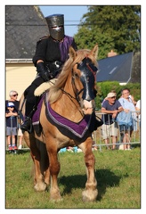 Henry-Valentyn  555